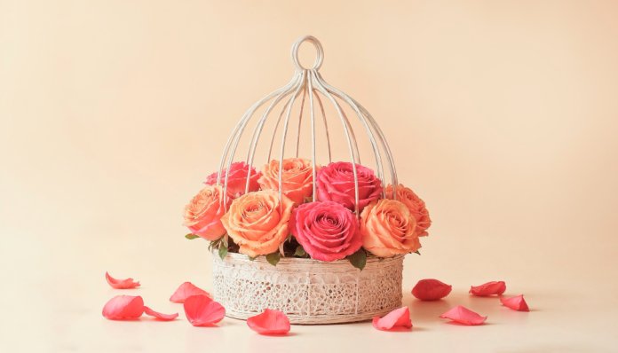 decor sustenabil
