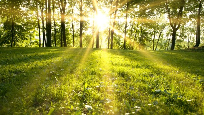 Meteorologii ANM au actualizat avertizarea de condiții meteorologice severe. Regiunile influențate de ninsoare până joi dimineață. HARTĂ