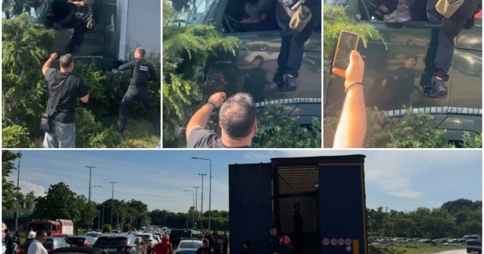 Polițiștii locali au utilizat spray lacrimogen și l-au atacat pe conducătorul TIR-ului scăpat de sub...