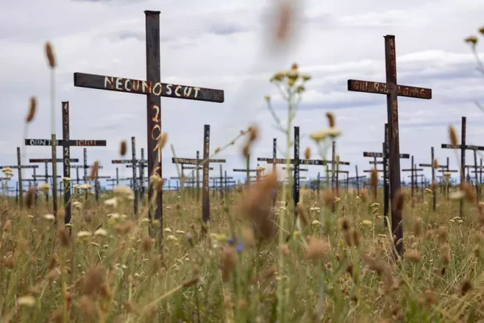Cimitirul celor neidentificați din Dumbrava. Viorel Pașca: „Fiecare are cruce, fără a ține cont de religie”